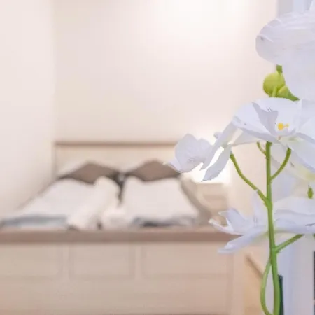 9 Min From City Center - Beautiful Studio Near U1 Reumannplatz Vienne Extérieur photo